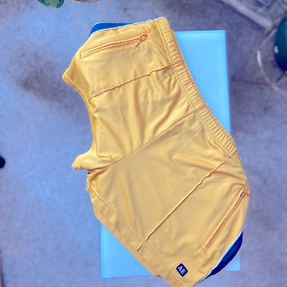 Vintage American eagle shorts